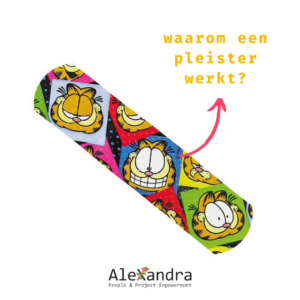 Pleister