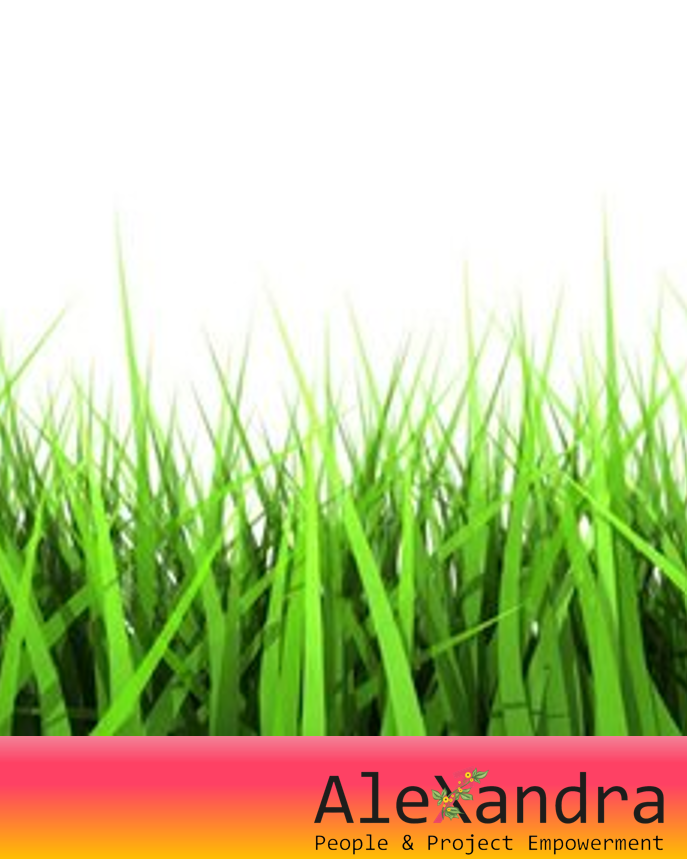 Gras gaat niet harder groeien als je eraan trekt