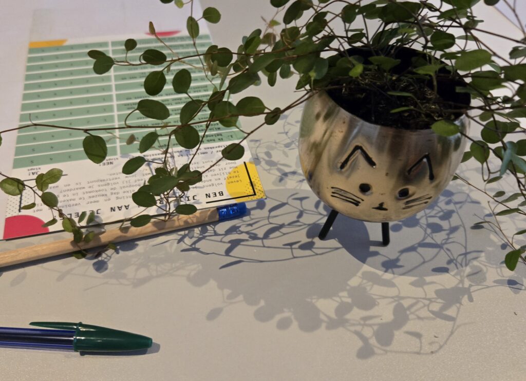 Plantje